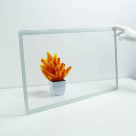AM Anti-Microbial Coating Cover Glass-1.png